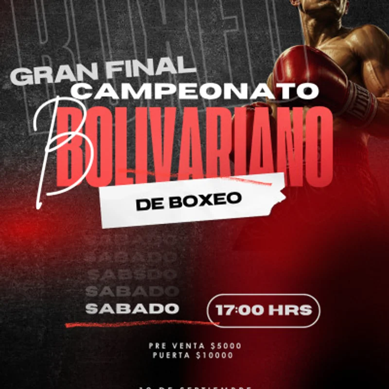 Final bolivariano de boxeo