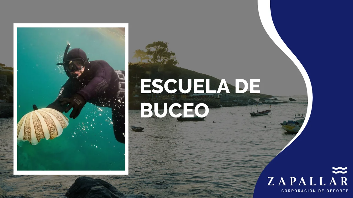 Escuela de Buceo Juvenil Adulto - Zapallar Invierno 2026