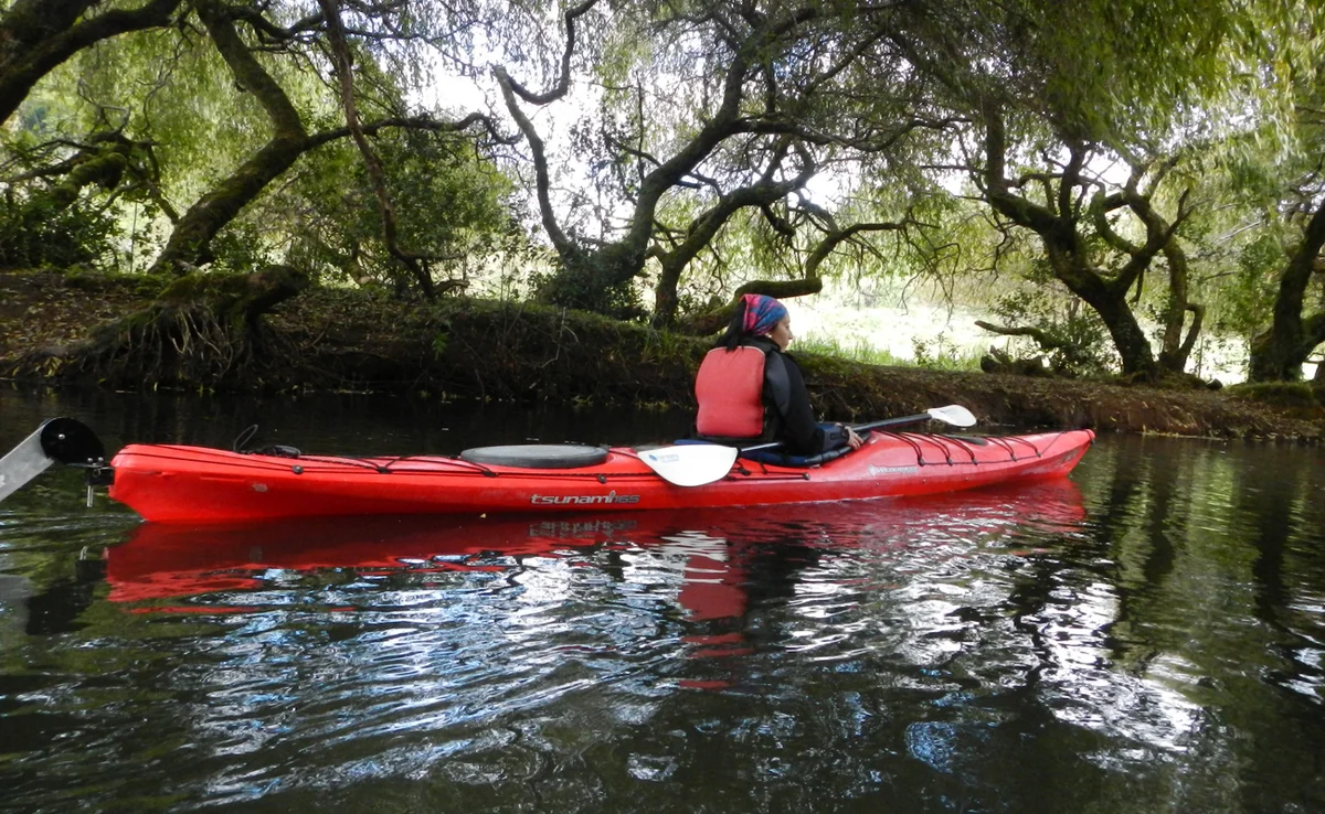 Kayak 1/2 día