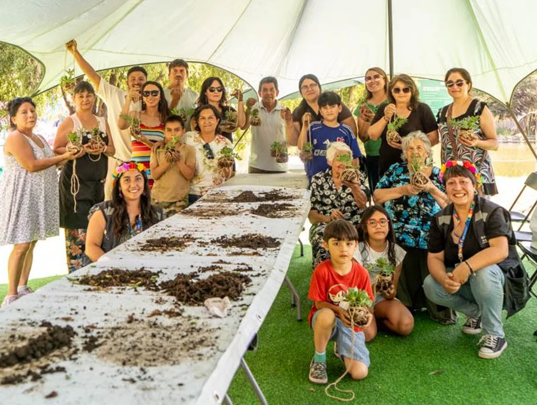 Propagación De Plantas