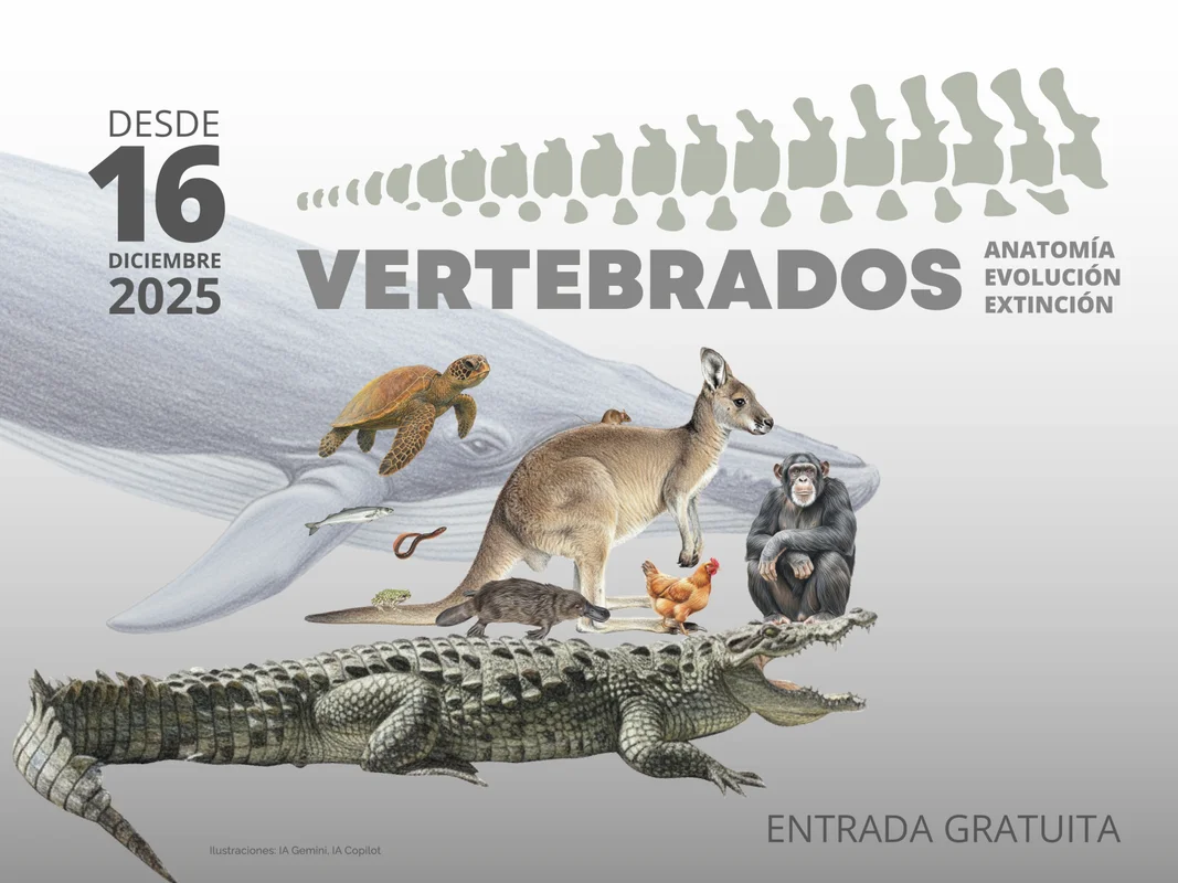 Vertebrados: anatomía, evolución, extinción