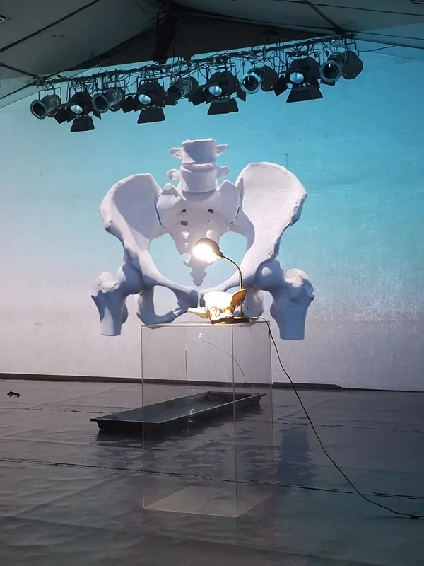 HUMANA, anatomia imaginada