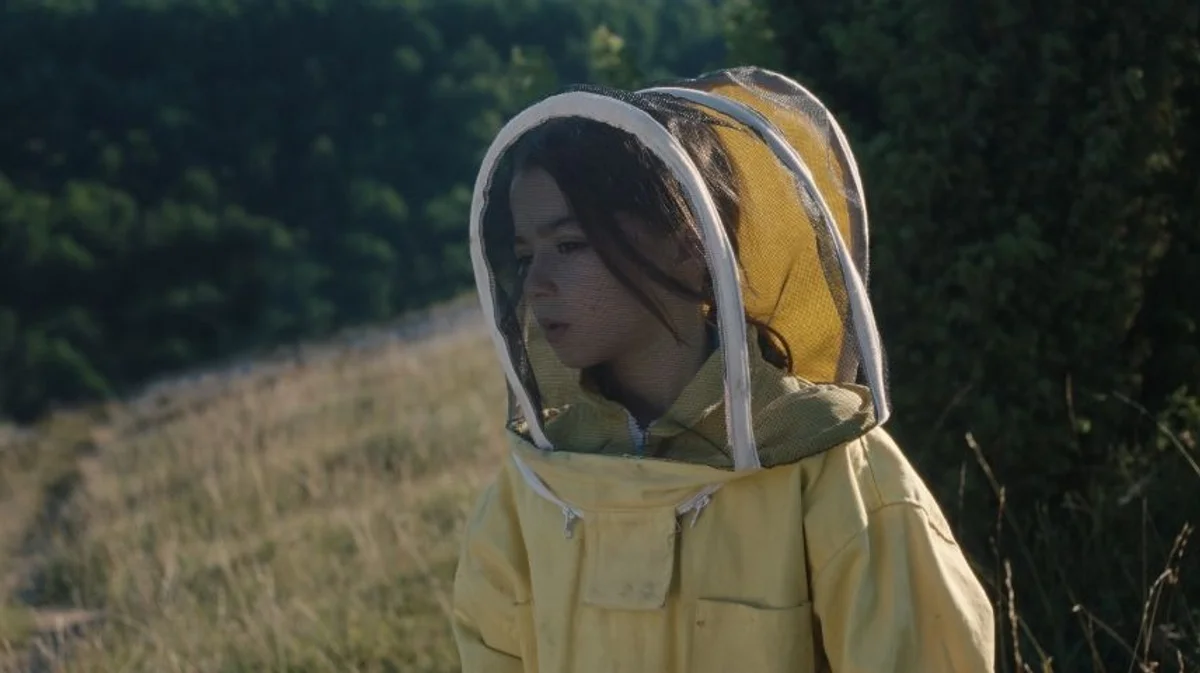 Cine: 20.000 especies de abejas