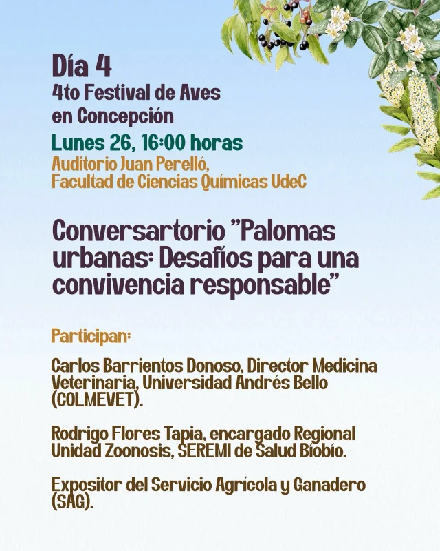 Conversatorio sobre Palomas Urbanas
