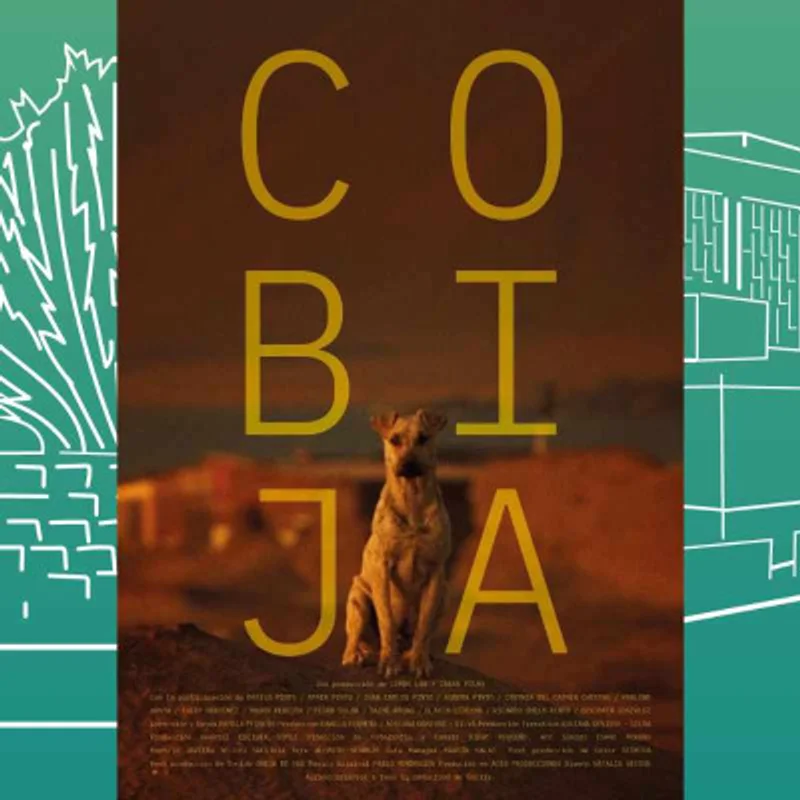 Cobija
