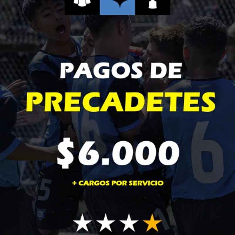Precadetes Huachipato Fc