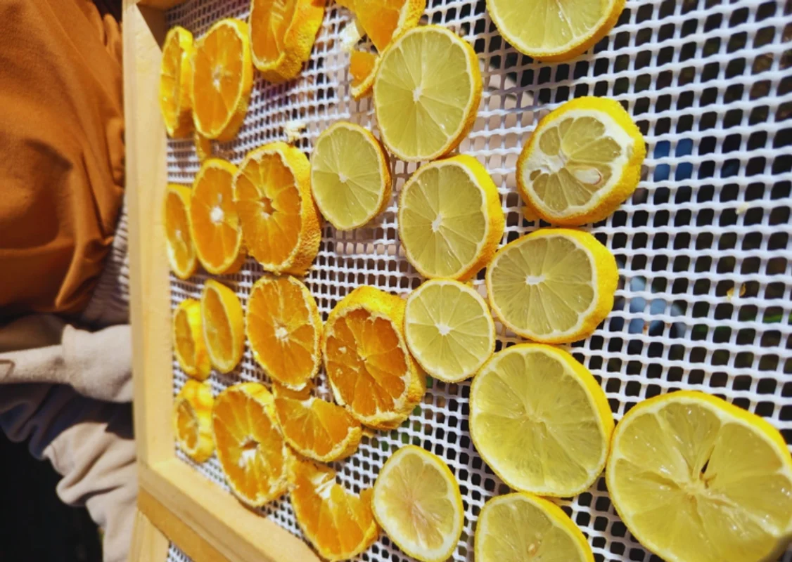 Taller Conservación de alimentos: Deshidratados