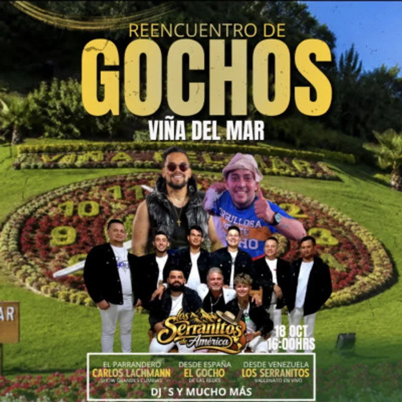Reencuentro De Gochos Viña Del Mar
