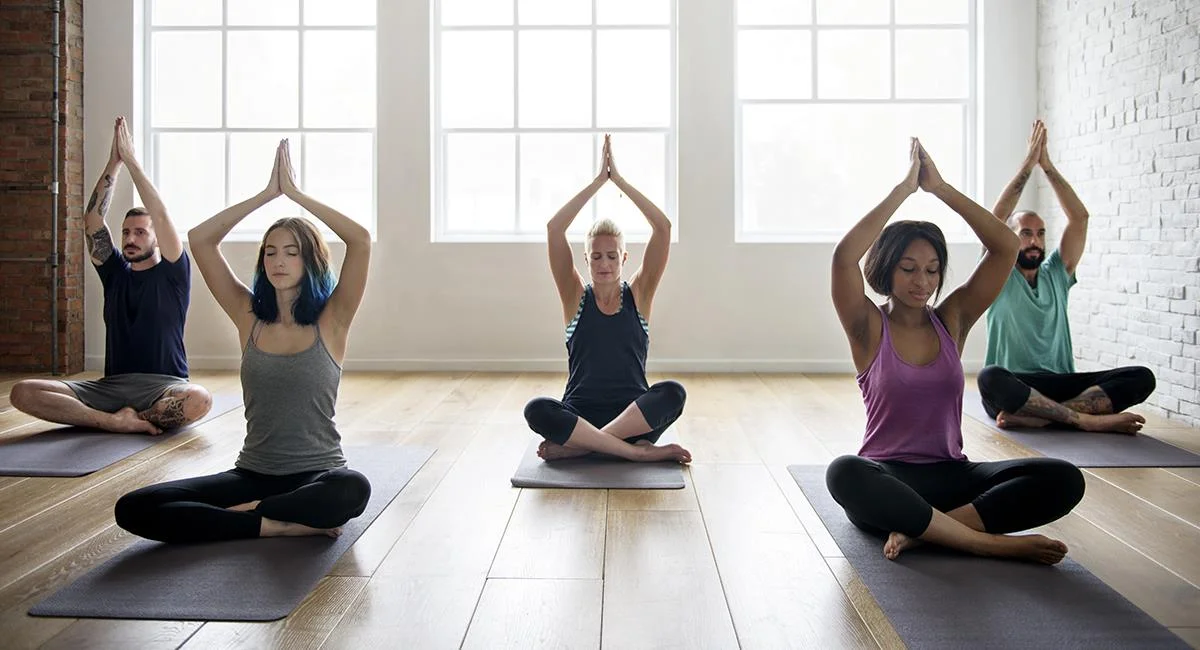 Yoga Integral 1