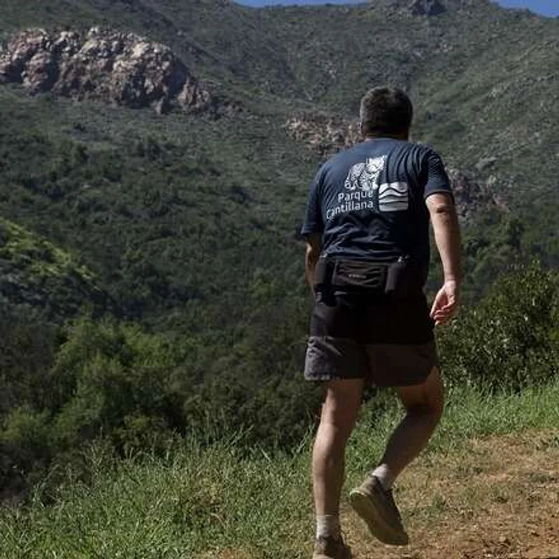 Trail Running Parque Cantillana 2026
