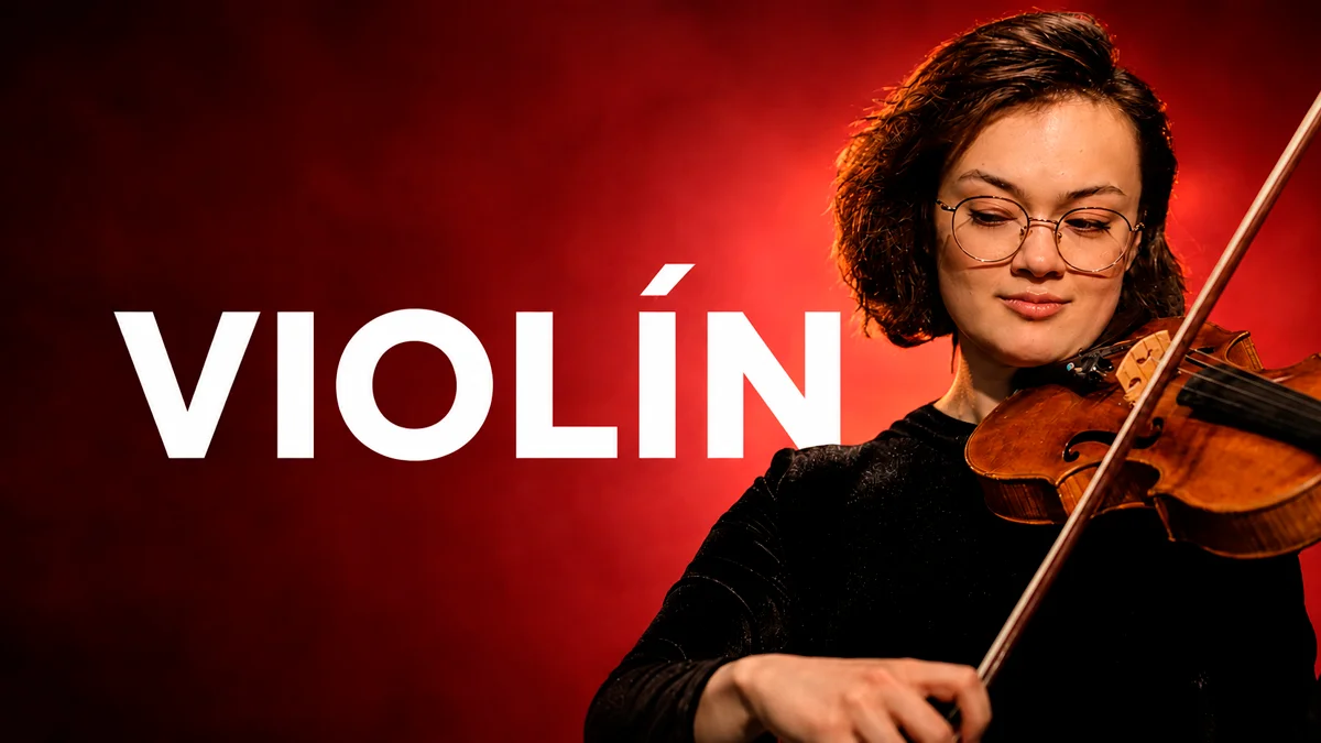 Violín