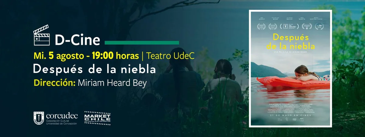 Después De La Niebla