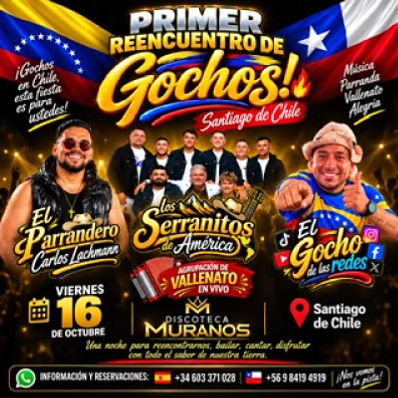 Reencuentro De Gochos En Chile