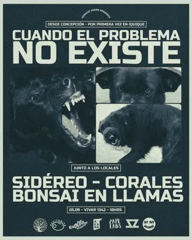 Cuando El Problema No Existe En Espacio Akana, Iquique