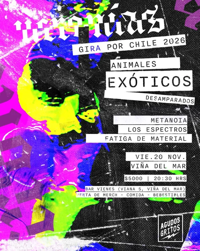 Animales Exóticos Desamparados: Gira Ucronias En Bar Vienés, Viña Del Mar