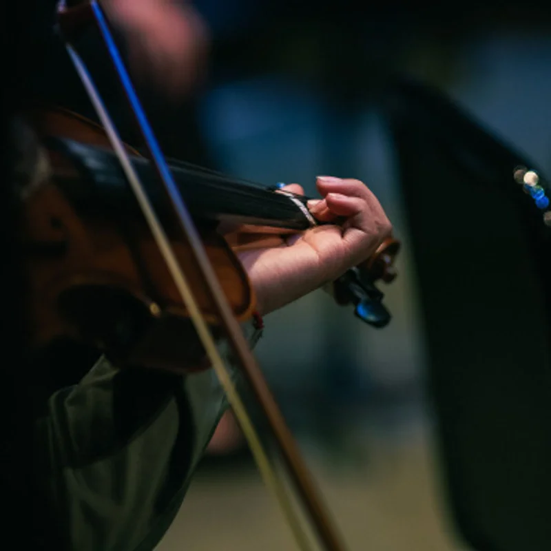 Acción Vive La Música: Concierto Orquesta de Cuerdas Vive La Música