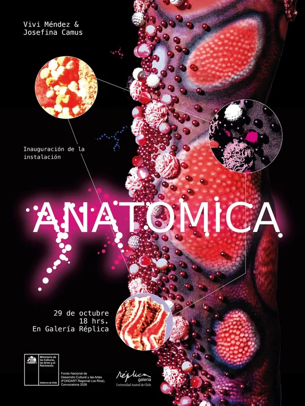 Anatomica
