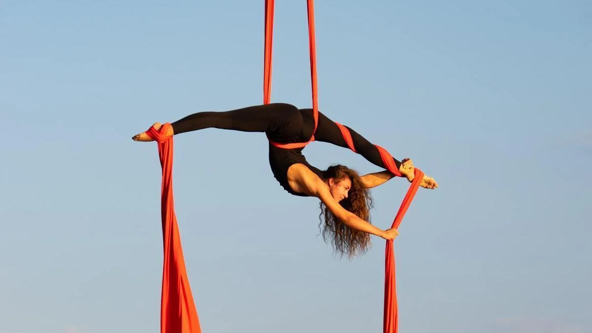 Taller De Danza Aerea/Tela Acrobática