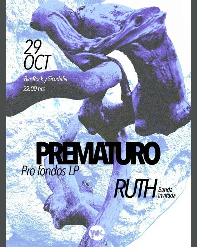 Prematuro: Pro Fondo Primer Lp En Rock Y Sicodelia, La Serena