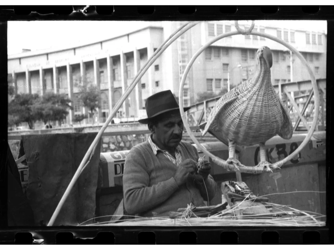 La vida en una mirada. Fernando Opazo