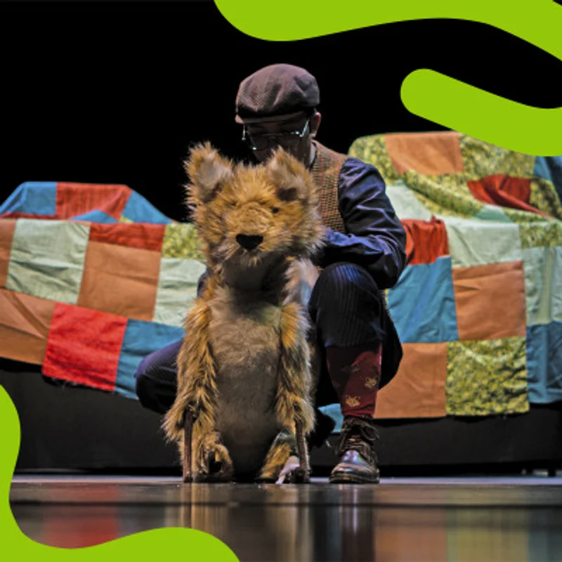 Zorro (Colombia) (LSCH)