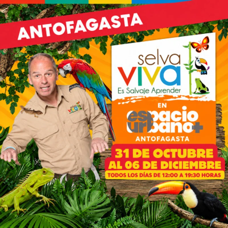 Selva Viva En Espacio Urbano Antofagasta