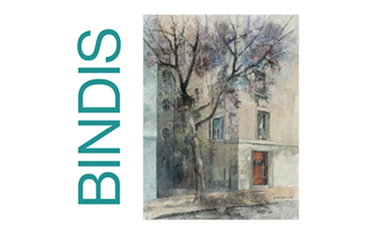 Exposición de Álvaro Bindis