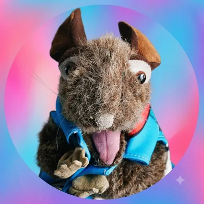 Foto de Demian The Rat